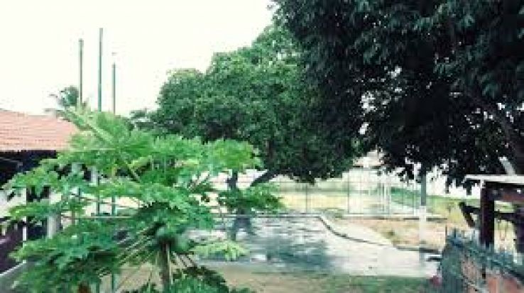 Jose de Freitas Trip Packages