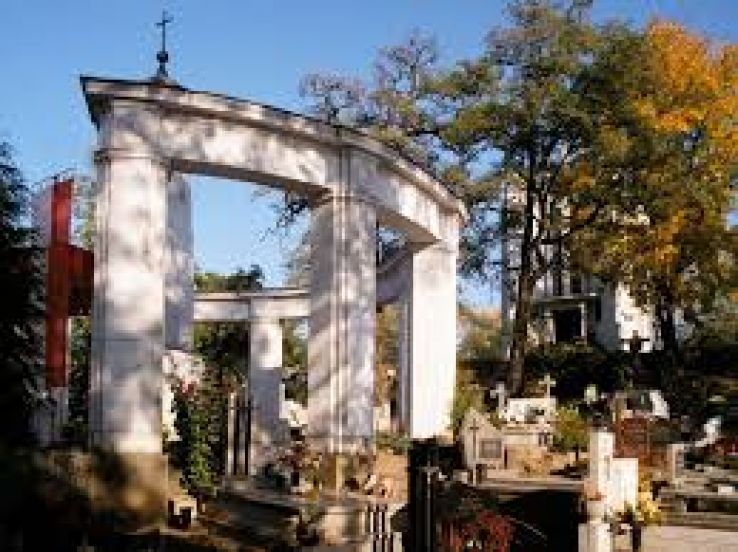 Mogilno Trip Packages