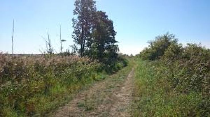 Wolsztyn Trip Packages