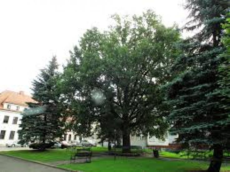 Zlocieniec Trip Packages