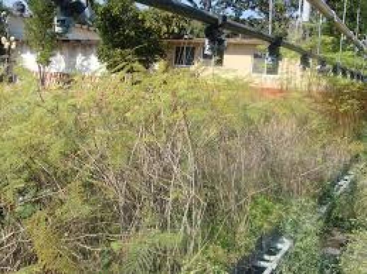 Amacuzac Trip Packages