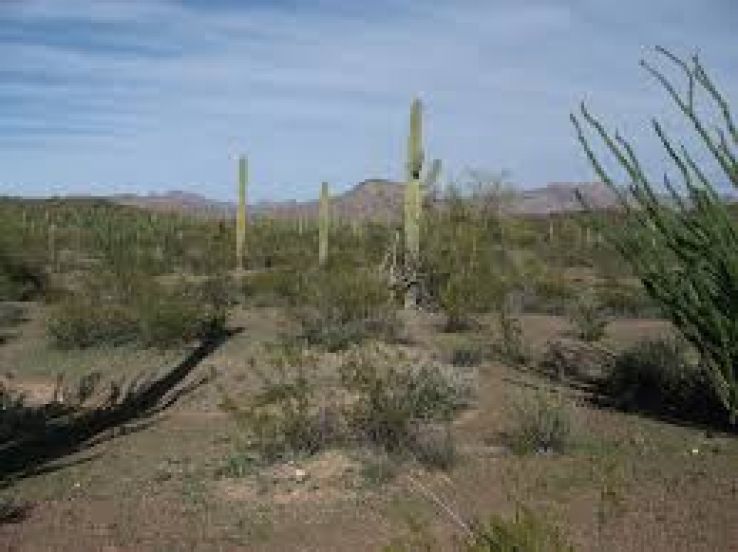 Sonoita Trip Packages