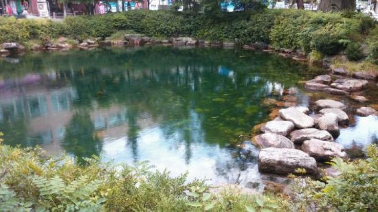 Taebaek Trip Packages