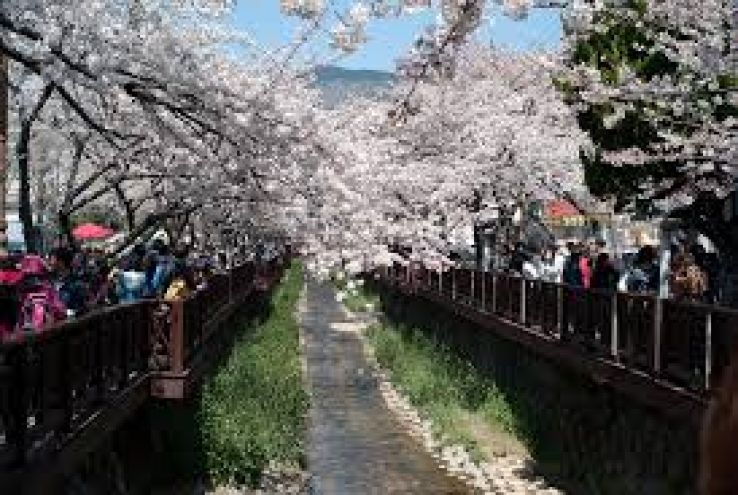 Gyeongsangnam-do Trip Packages
