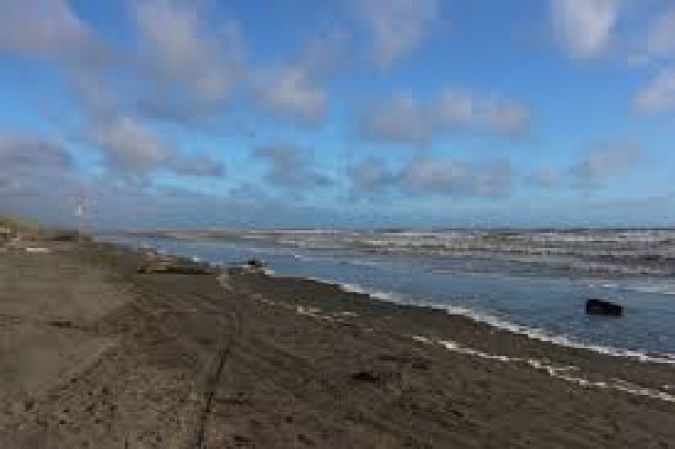 Foxton Trip Packages