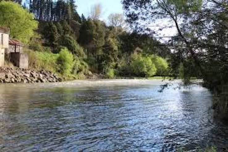 Taumarunui Trip Packages