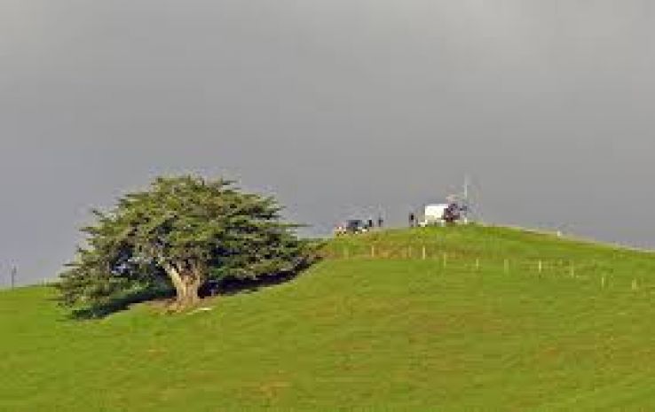 Eltham Trip Packages