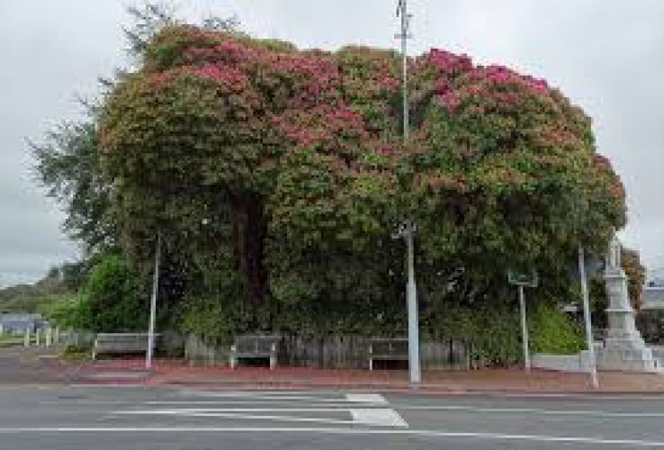 Inglewood Trip Packages