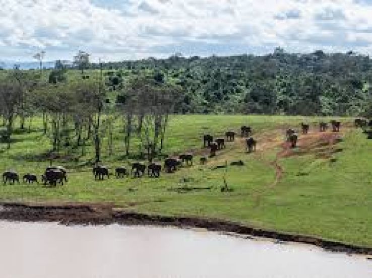 Nyeri Trip Packages