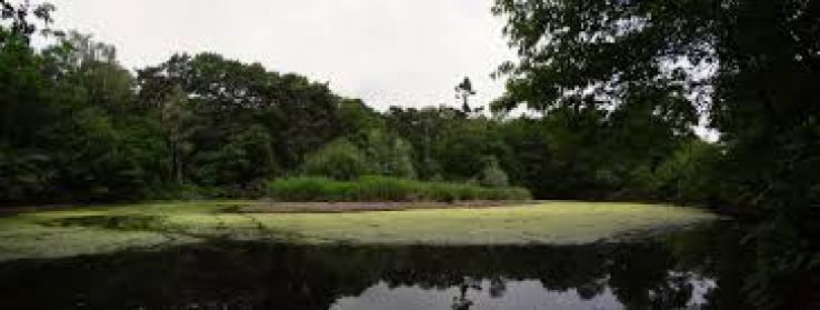 Aalten Trip Packages