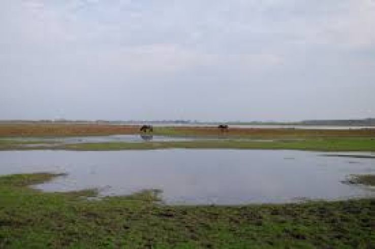 Werkendam Trip Packages