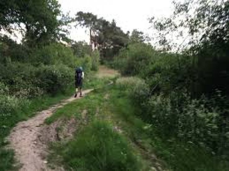 Hellendoorn Trip Packages