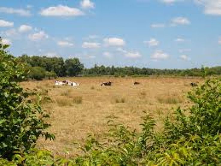 Losser Trip Packages