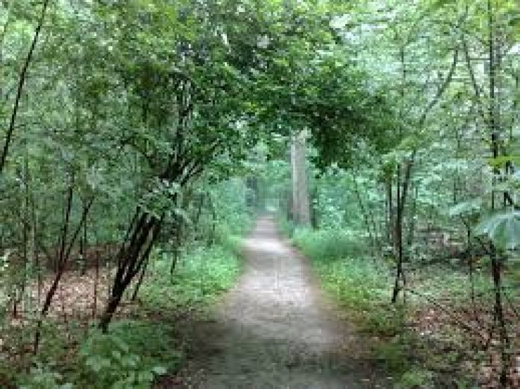 Bunnik Trip Packages