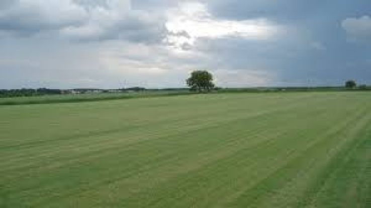 Velimirovac Trip Packages