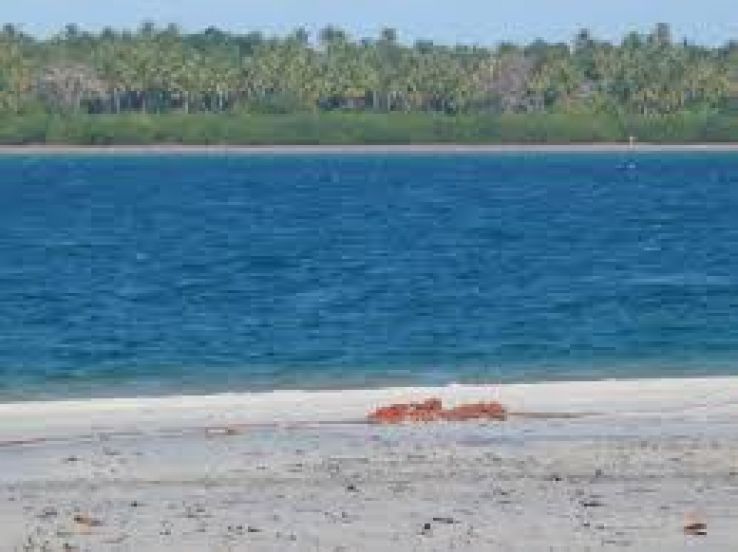 Magical 7 Days Zanzibar with Selous Game Reserve Holiday Package