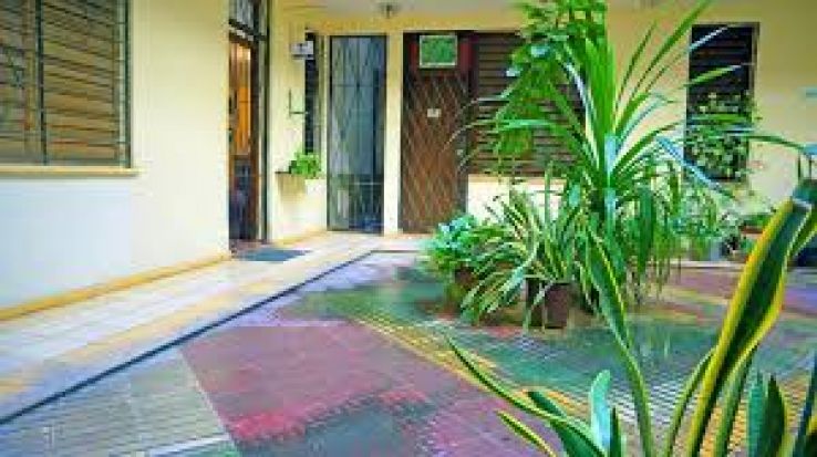 Aguacate Trip Packages