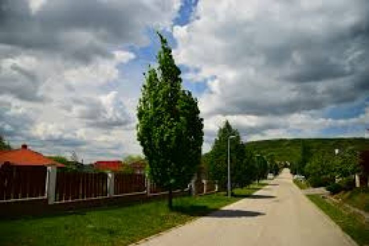 Piliscsaba Trip Packages