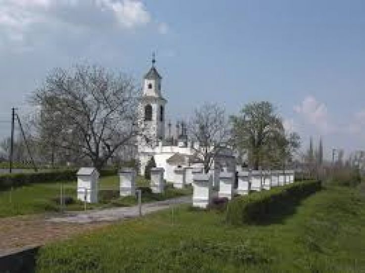 Bataszek Trip Packages