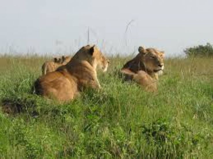 Mpwapwa Trip Packages