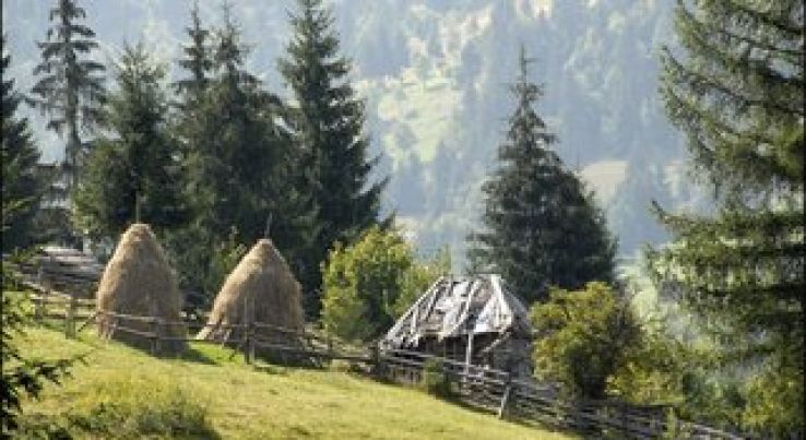 Vultureni Trip Packages