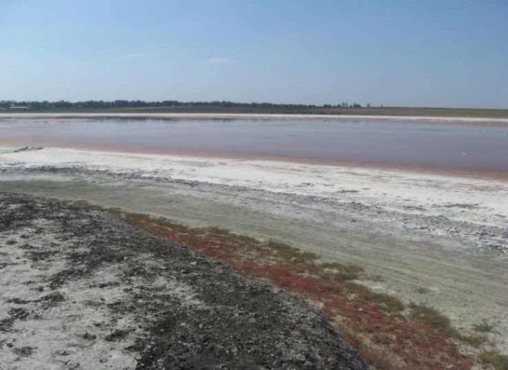 Movila Miresii Trip Packages