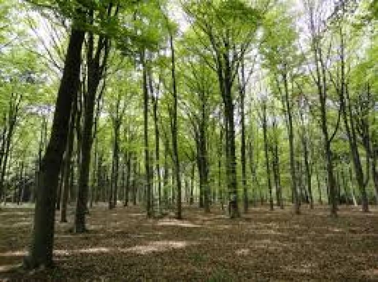 Stabroek Trip Packages