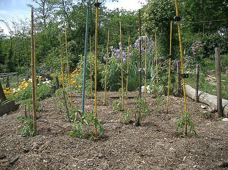 Marmande Trip Packages