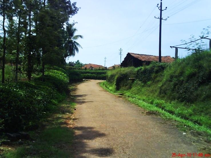 Narasimharajapura Trip Packages