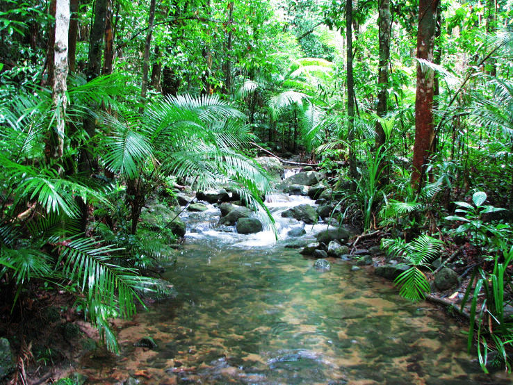 Mossman Trip Packages