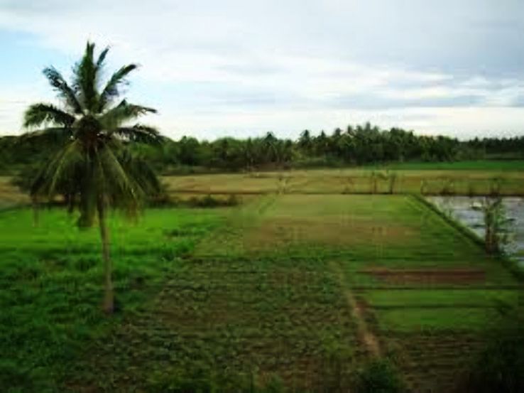 Srivilliputhur Trip Packages