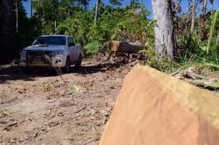 Novo Progresso Trip Packages