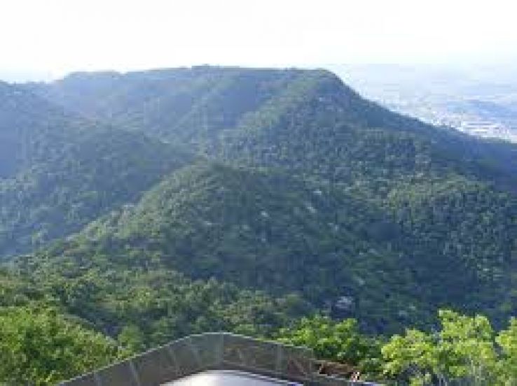 Floresta Trip Packages