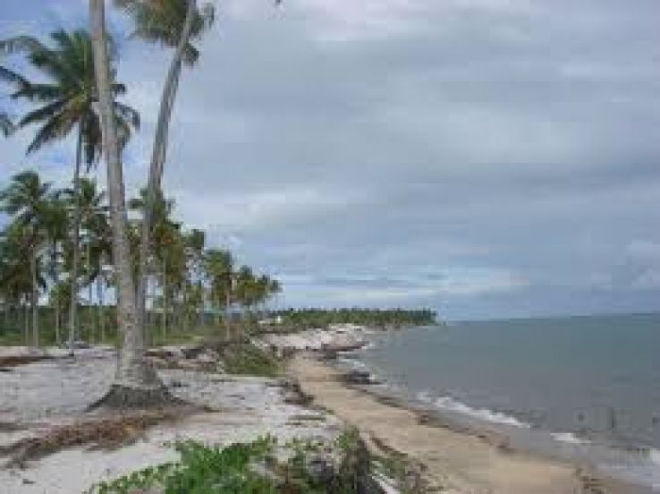 Guadalupe Trip Packages