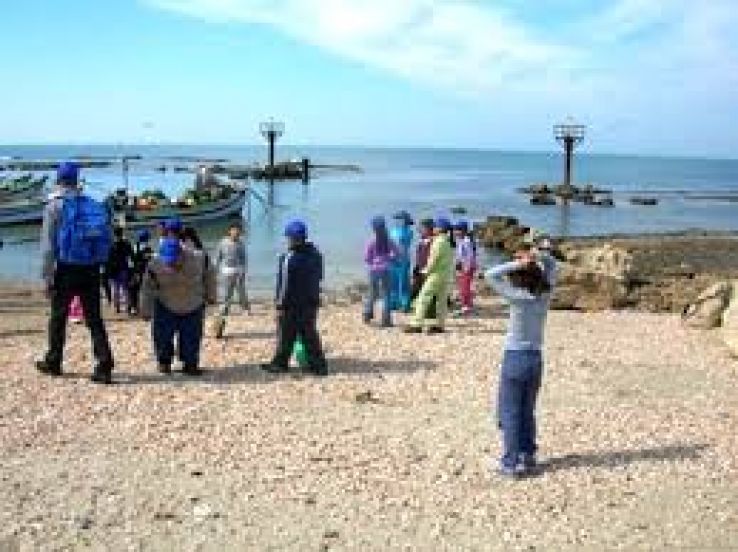 Jisr az-Zarqa Trip Packages