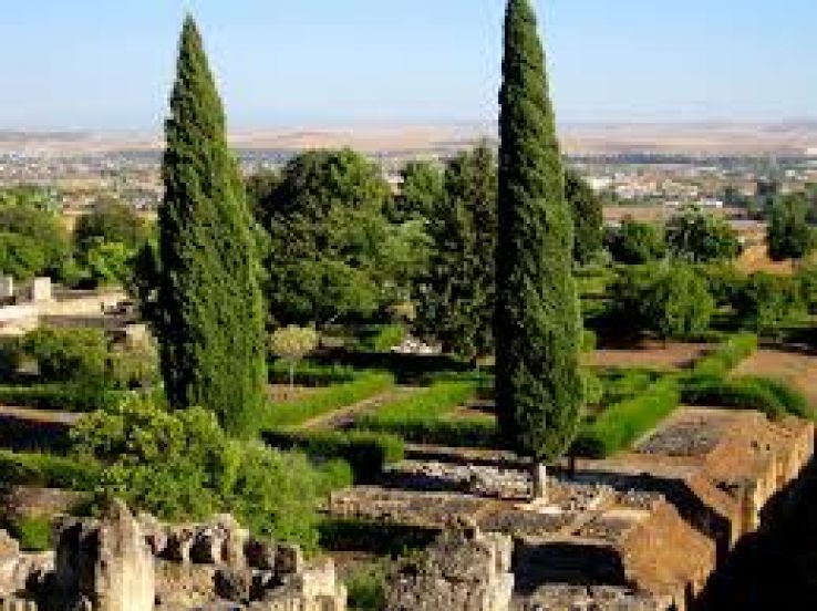 Umm al-Fahm Trip Packages