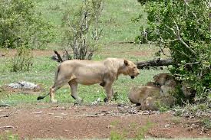 Komatipoort Trip Packages