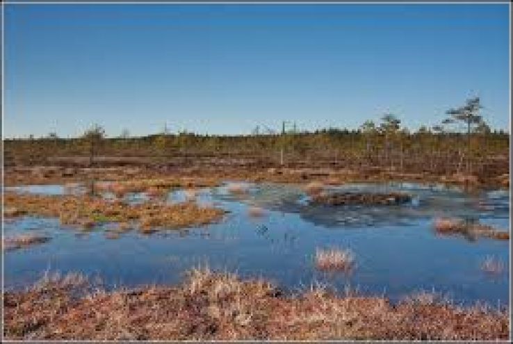 Forssa Trip Packages