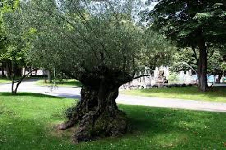 San Francisco del Mar Trip Packages