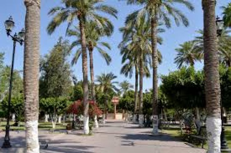 San Luis Rio Colorado Trip Packages