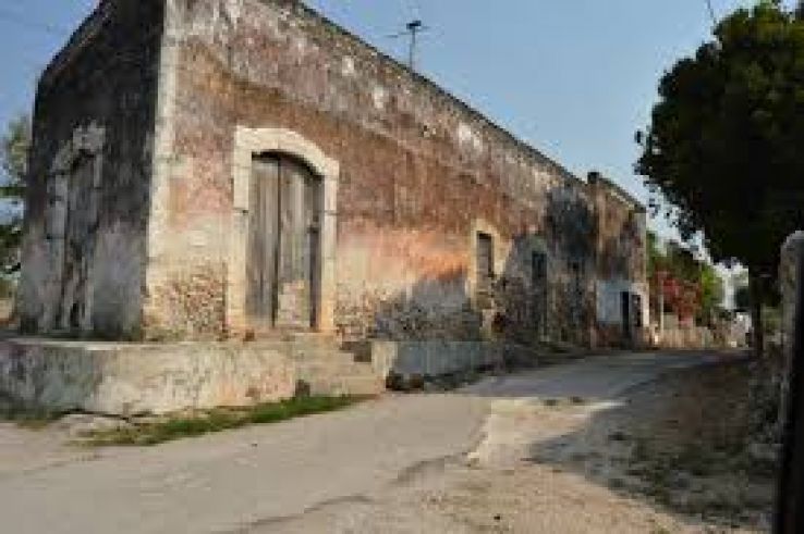 Dzitas Trip Packages