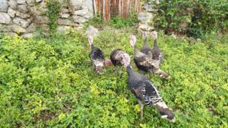 Maxcanu Trip Packages