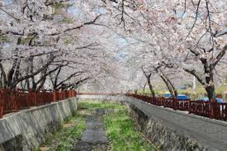 Gyeongsangnam-do Trip Packages