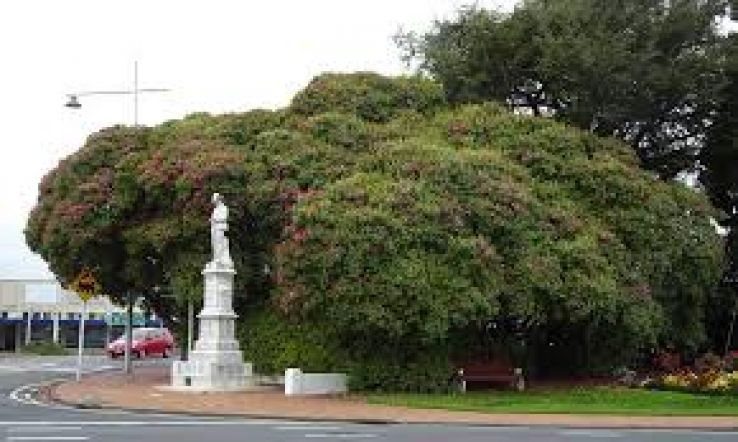 Inglewood Trip Packages