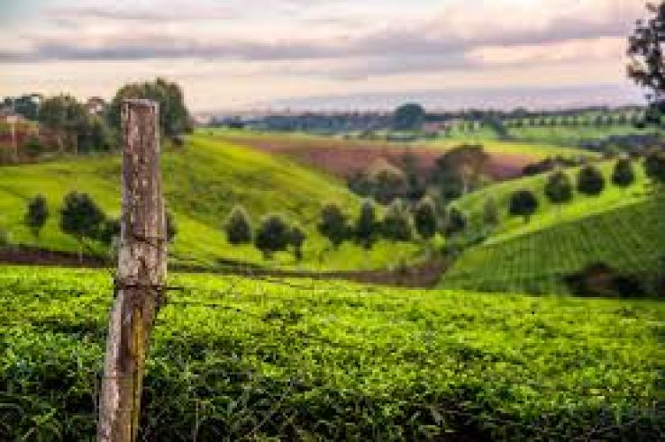 Kiambu Trip Packages