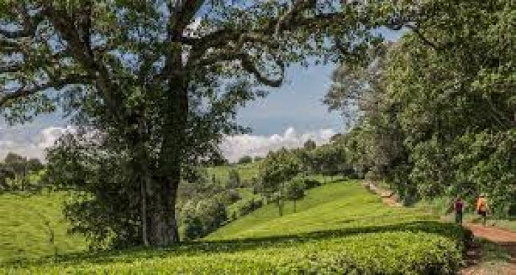 Nyeri Trip Packages