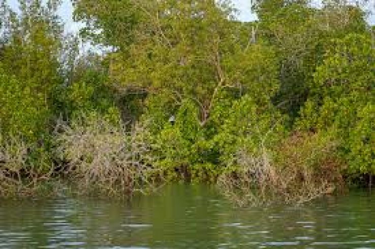 Kilifi Trip Packages