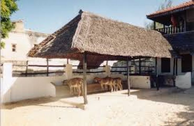 Lamu Trip Packages
