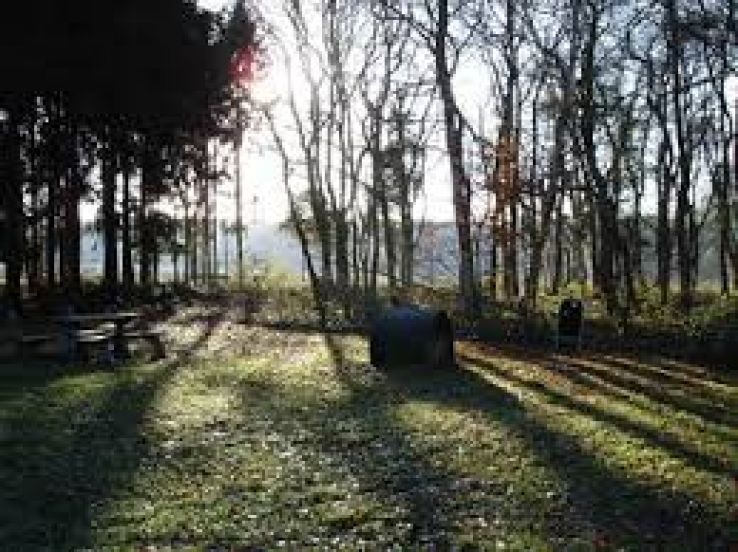 Tynaarlo Trip Packages