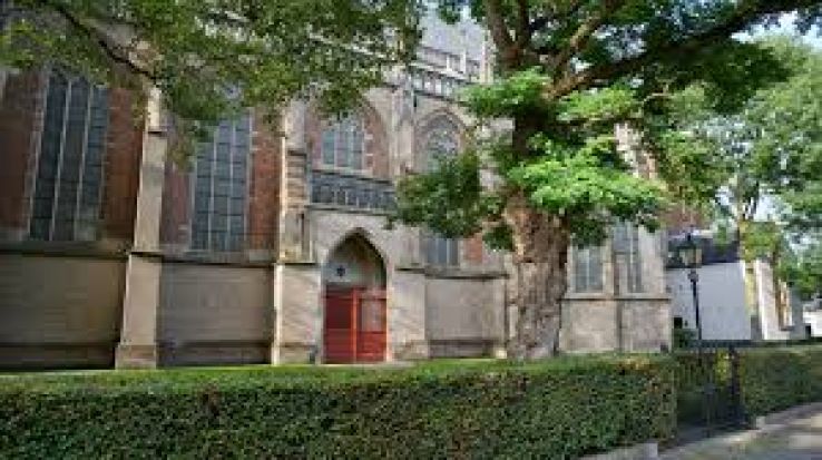 Zaltbommel Trip Packages